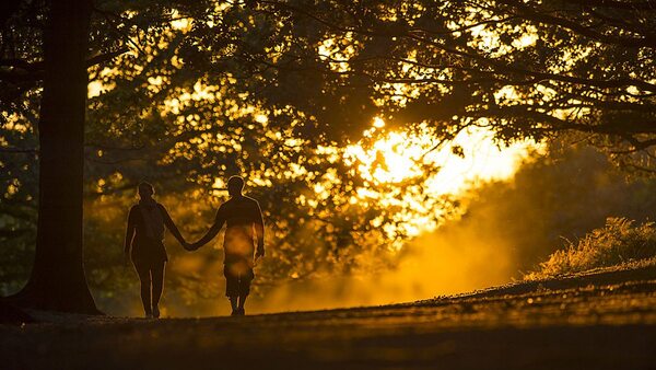 Persoană mergând singură pe o potecă, înconjurată de copaci înalți